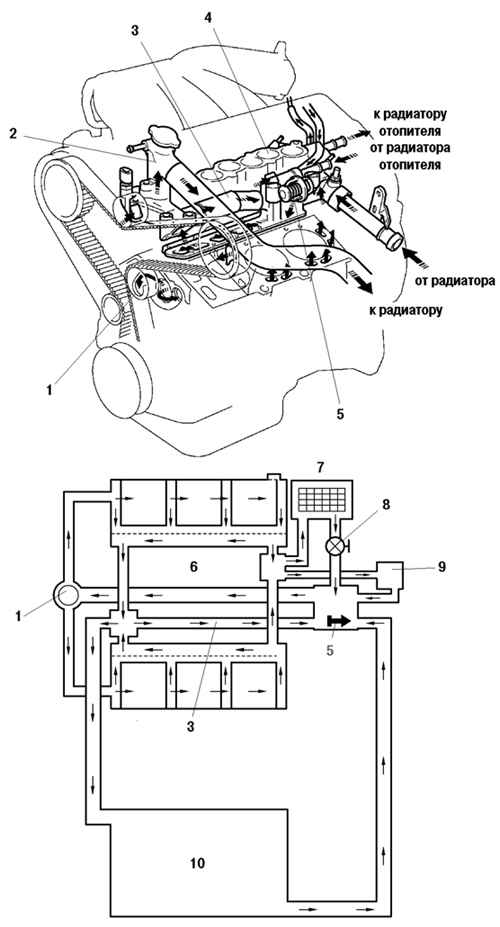 Система охлаждения двигателя 1MZ-FE и принципиальная схема работы системы